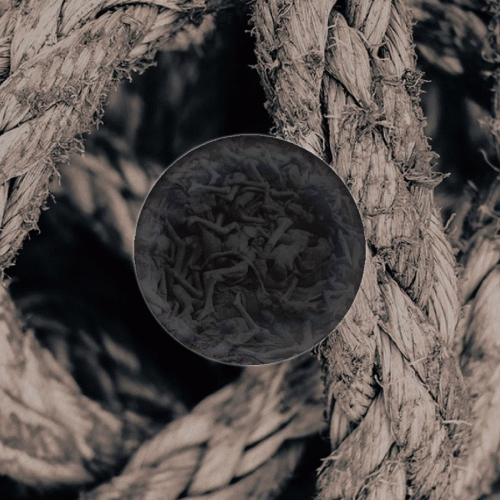 Darkest (USA) : Around Your Neck Then Mine